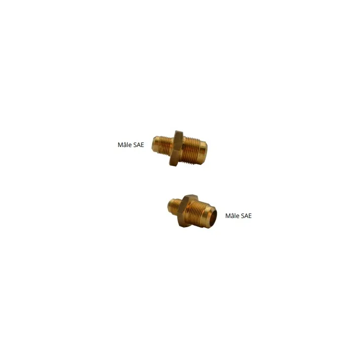 DM