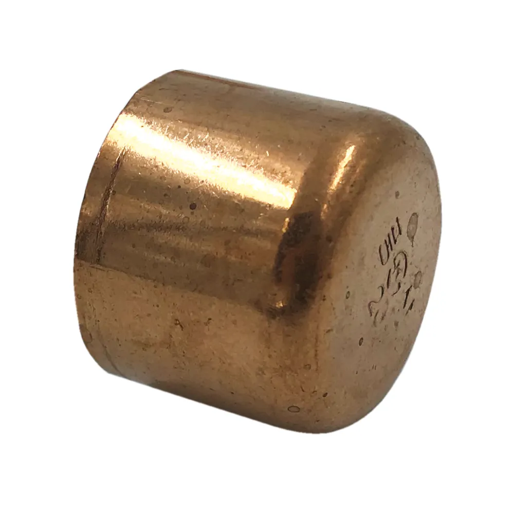 193RACCOO012