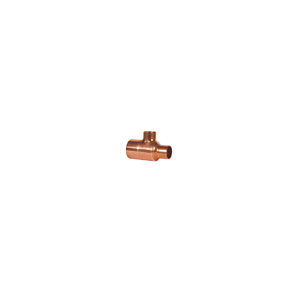 193RACCOO014