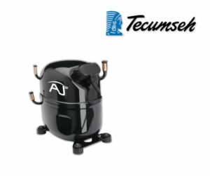 Tecumseh